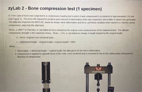 zylab 2 bone compression test 1 specimen|Get 24/7 Homework Help .